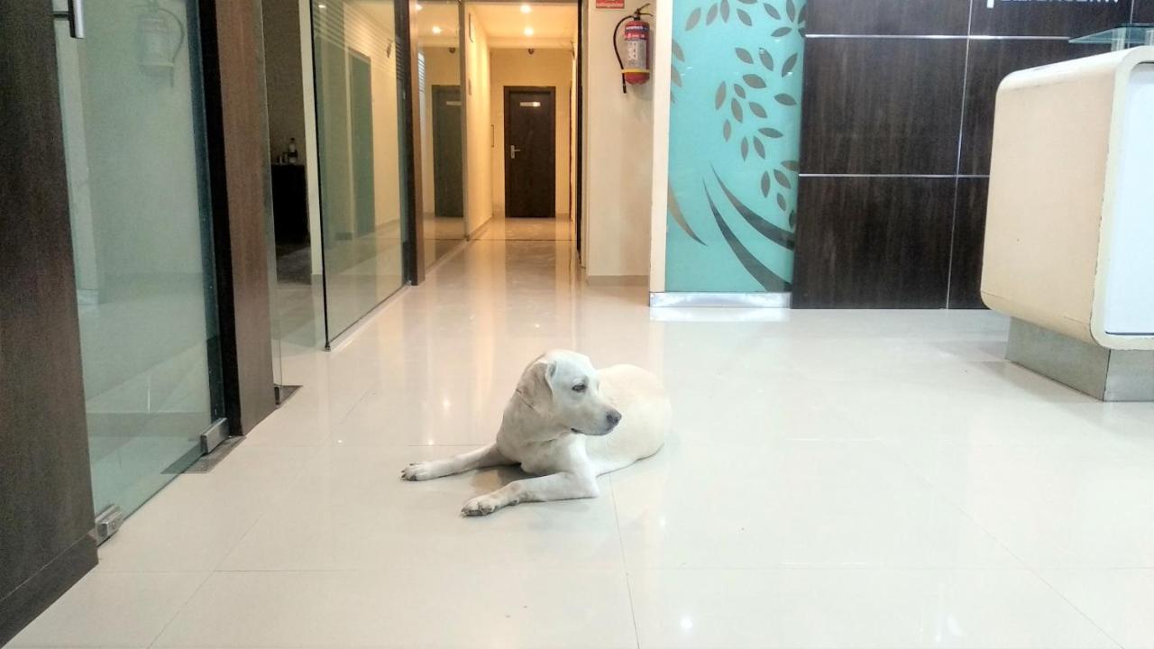 Sai Srushti By Neem Square Hotel Ширди Екстериор снимка